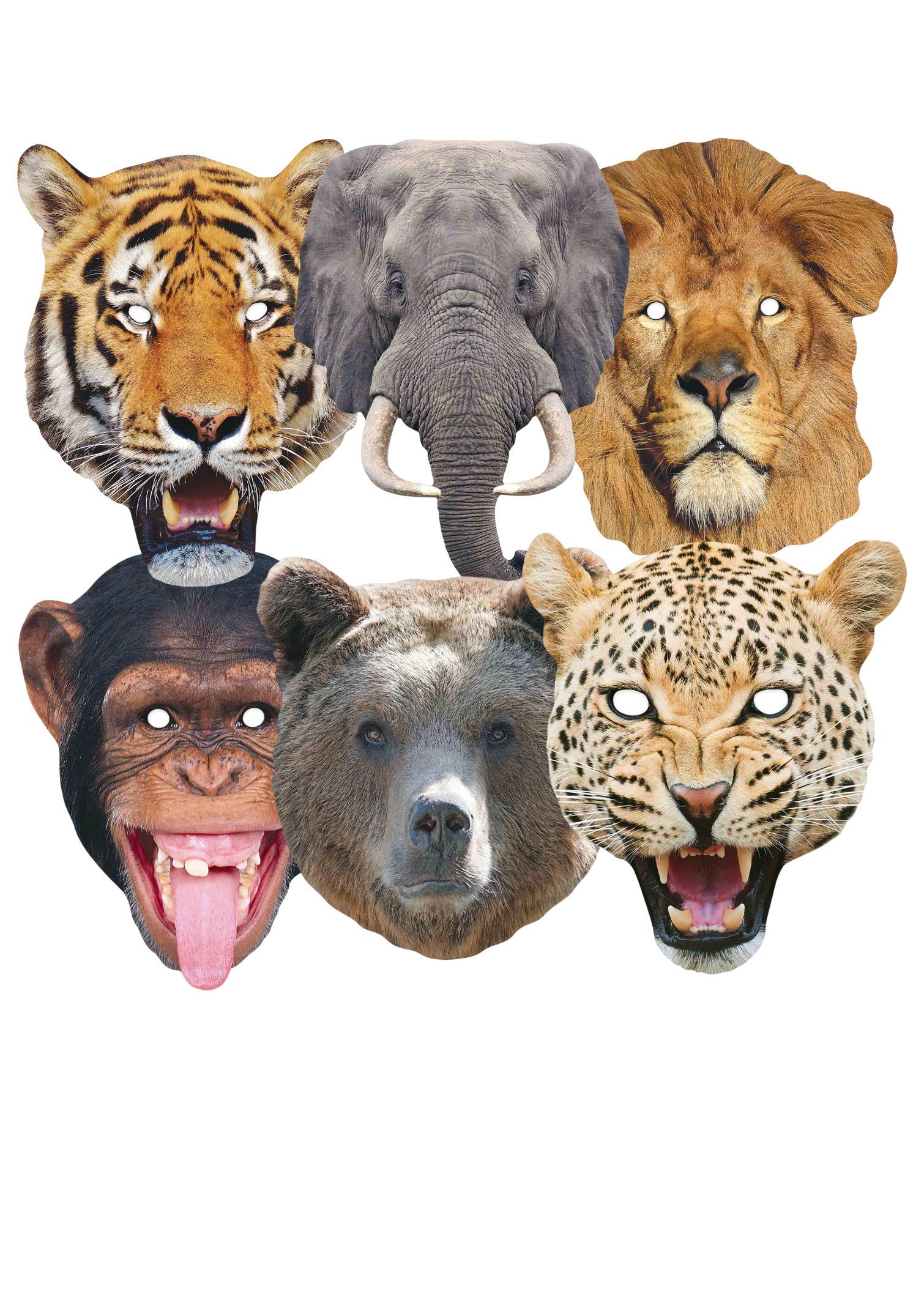 STAR CUTOUTS Lion, Tiger, Bear, Chimpanzee, Elephant, Leopard l Pack of Six l