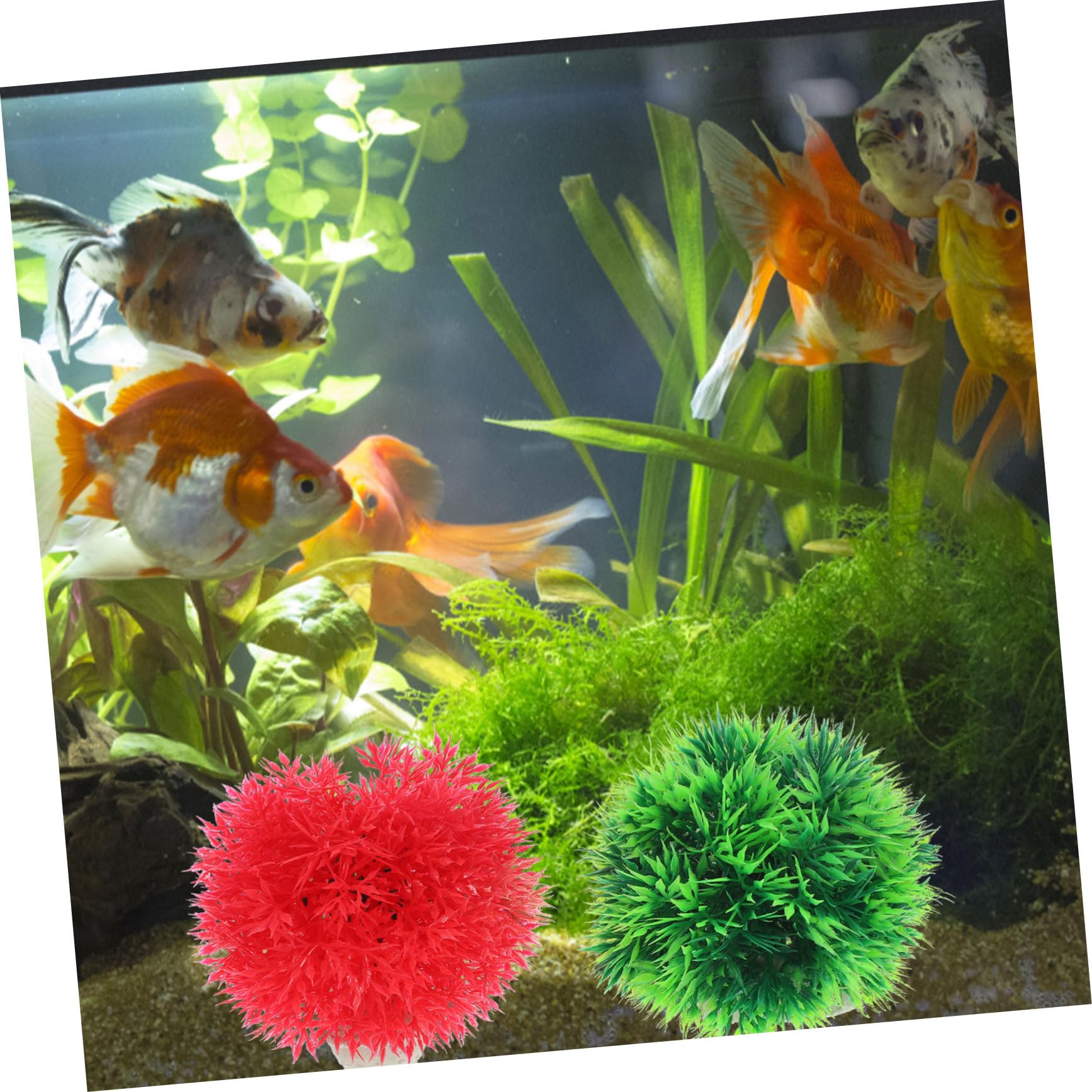 BESPORTBLE 12pièces Plantes Aquatiques Artificielles Décorations pour Aquariums Et Réservoirs Vertes Rouges Ornements sous-Marins Naturels pour Habitat Sain des Poissons