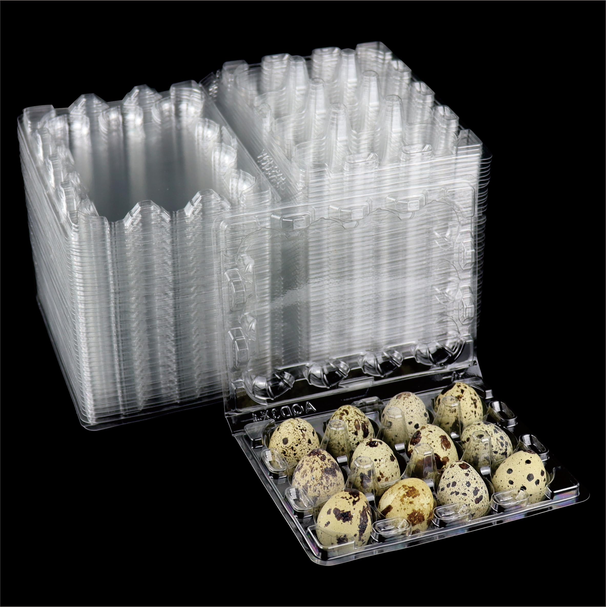 Buy Tellyouwin 160Pcs Quail Egg Carton 12 Grids Clear Mini Plastic