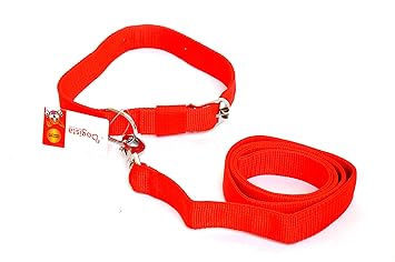 Dogista pet products pp Dog Leash Collar Set 1. 50 inch (Color May Vary) Extra Large
