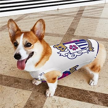 Amazon.co.jp: セレッソ大阪かわいい防寒防風通気性ベスト四季