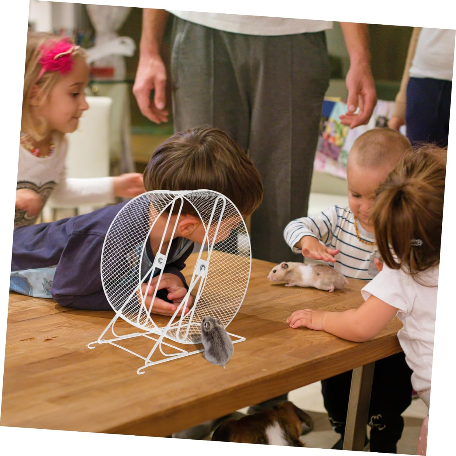 Interesting Silent Hamster Running Wheel Toy Stand for Hedgehogs Squirrels and Other Pets for Exercise and Playtime Stylish Design Iron