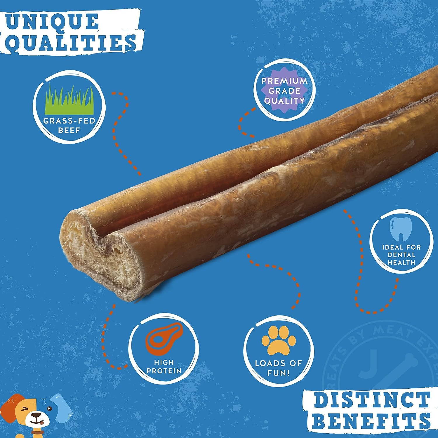 Jack&Pup Bundle - Bully Sticks + Pro-Digest Supplements | 12-Inch Odor Free [Standard Size] Bully Sticks (5 Pack) | Pro-Digest Probiotics for Dogs (60 Chews)… image 4