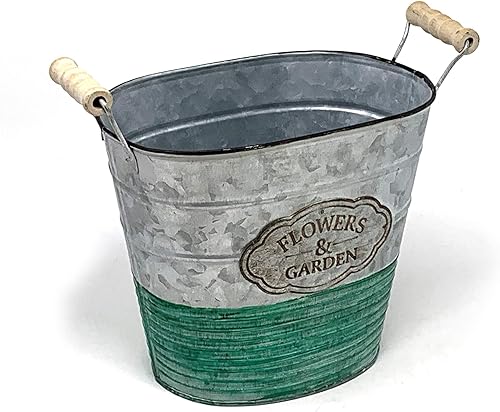 allgala Maceta galvanizada para decoración interior y exterior, ovalada, 8 pulgadas, HD88302A allgala Maceta galvanizada para decoración interior y exterior, ovalada, 8 pulgadas, HD88302A