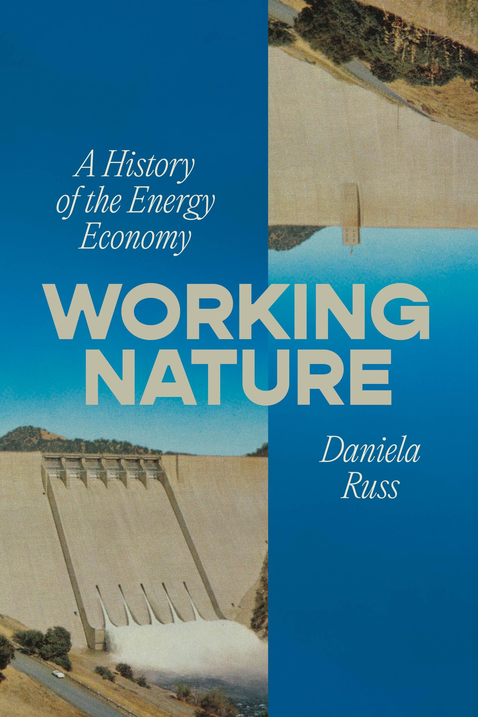 Working Nature A History of the Energy Economy by Daniela Russ (Paperback Book)