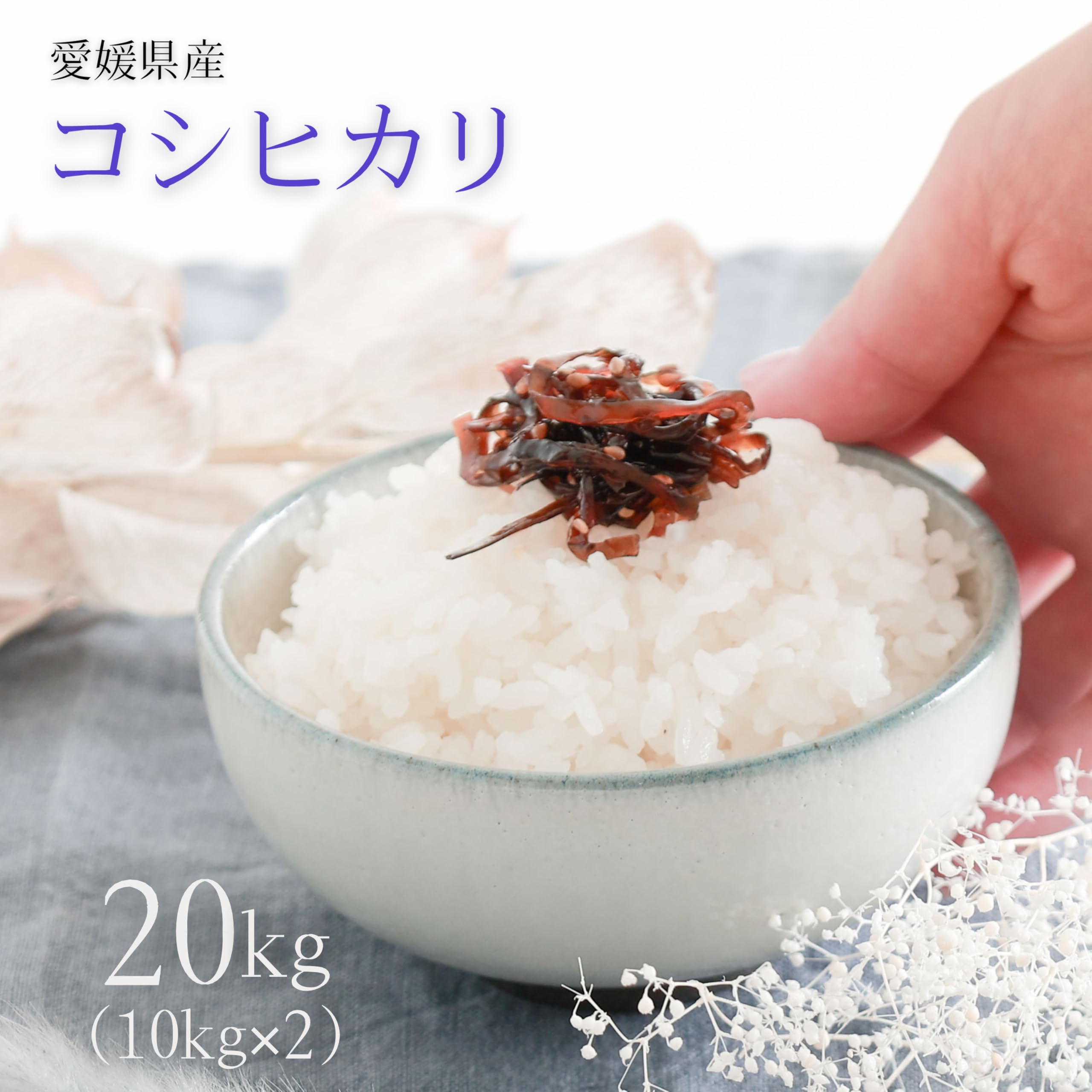 Amazon.co.jp: 令和7年 愛媛県産コシヒカリ 精米 白米 (20kg) : 食品