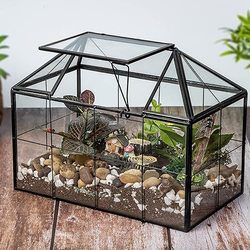 Miniatura 5 de Ferrisland Terrario de cristal para plantas de aire, terrario de cristal para suculentas, maceta geométrica grande con labio para suculenta helecho,