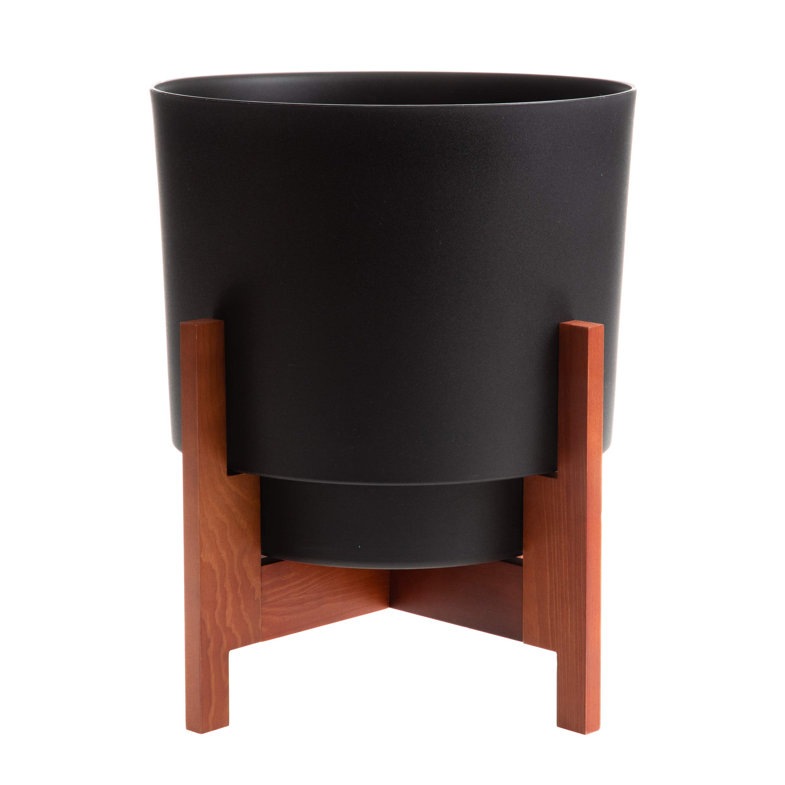 Amazon.com : Bloem Hopson 12