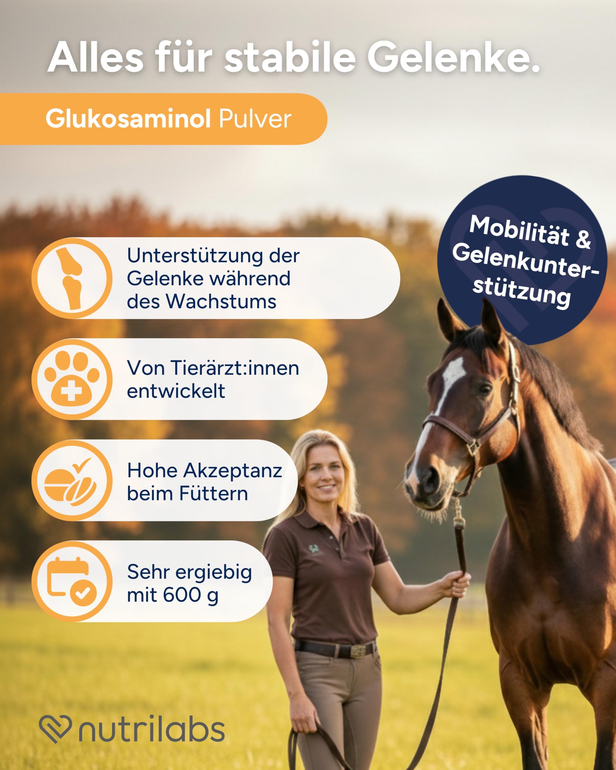 NutriLabs Glukosaminol® equin Gelenk-Pulver für Jung-Pferde 600 g - mit Glucosamin & Magnesium - Pferdenahrungsergänzungsmittel - Gelenknahrung