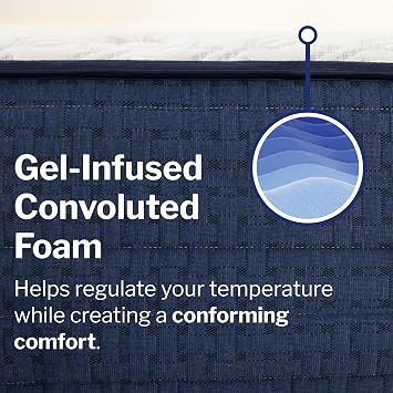 Wolf Twin XL Mattress - 14-Inch Elite Plush Top Memory Foam Hybrid Mattress with 9 Layers, Individually Wrapped Coil, Cooling Design, 101-Night Trial, Have The Right Level of Comfort and Support