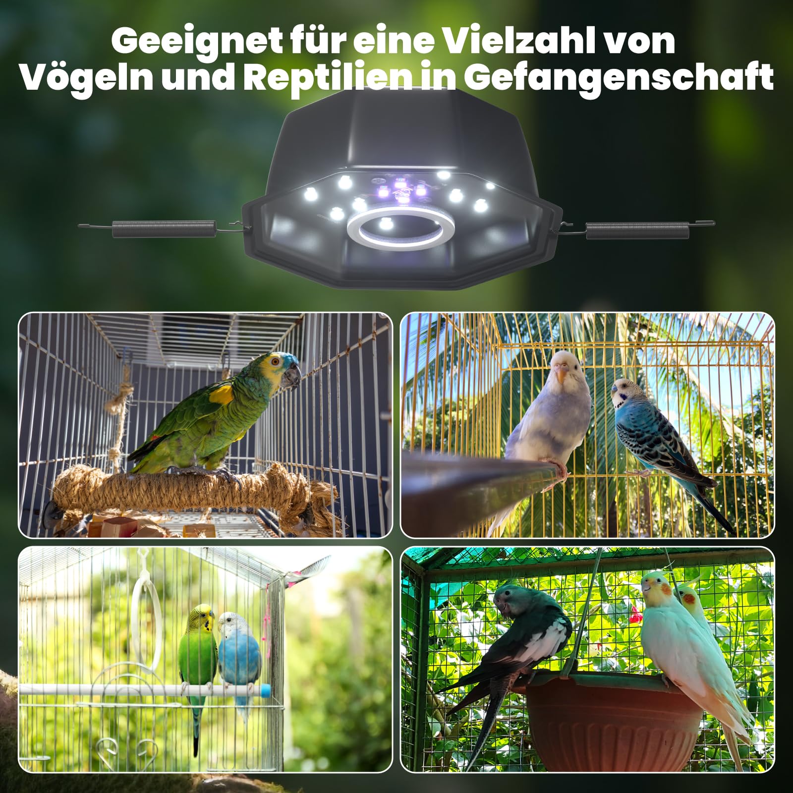 GlowUp UVB 2.4 Vogellampe 10W, Vollspektrum LED Licht für Vögel mit Kausicherem Kabel, Oktopus-förmiges, Dimmbares Vogelkäfiglicht mit EU-Stecker und Controller für Papageien, Nymphensittiche