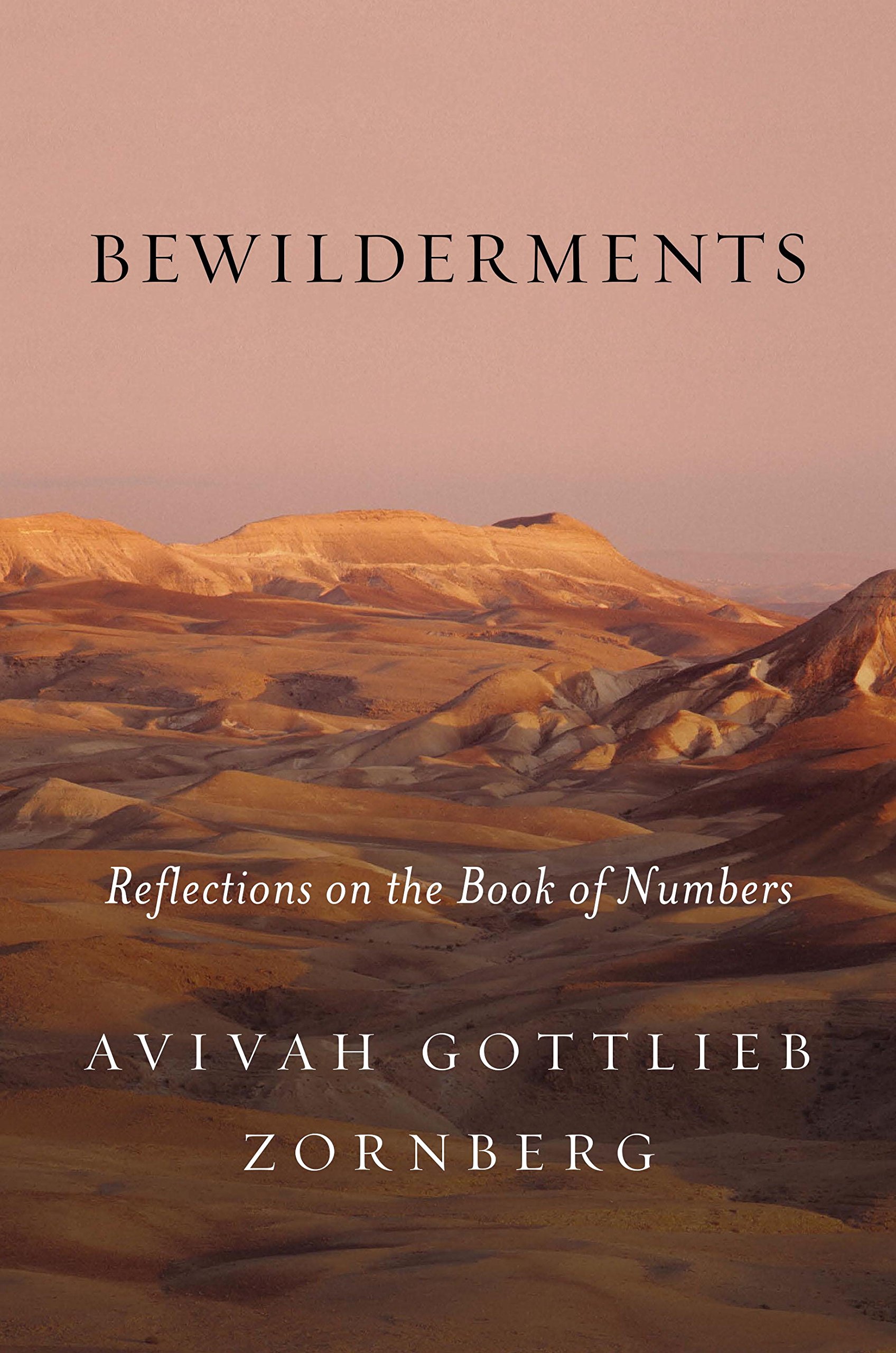 Buy Bewilderments: Reflections on the Book of Numbers — BookShops.in
