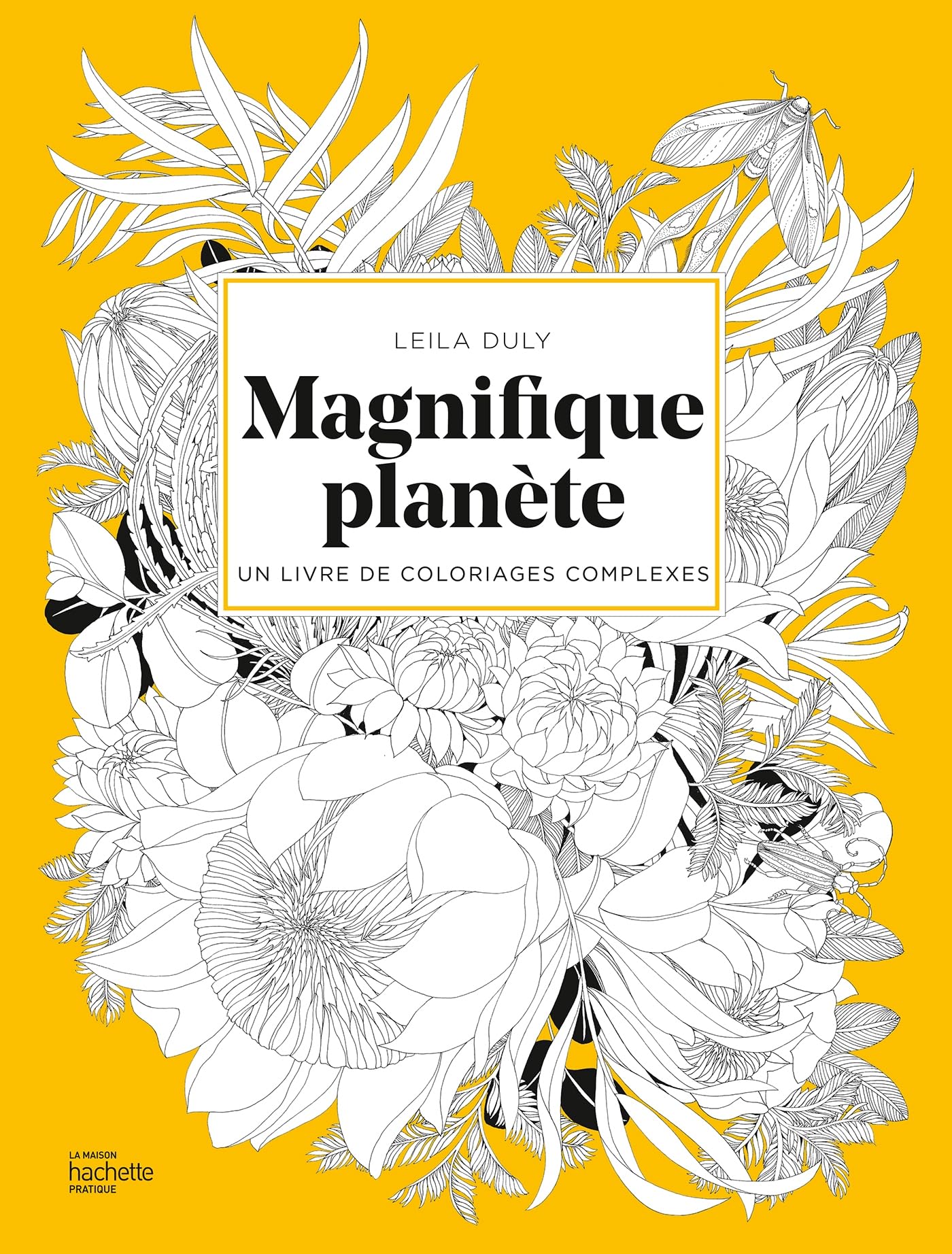 Magnifique planète: Un livre de coloriages complexes