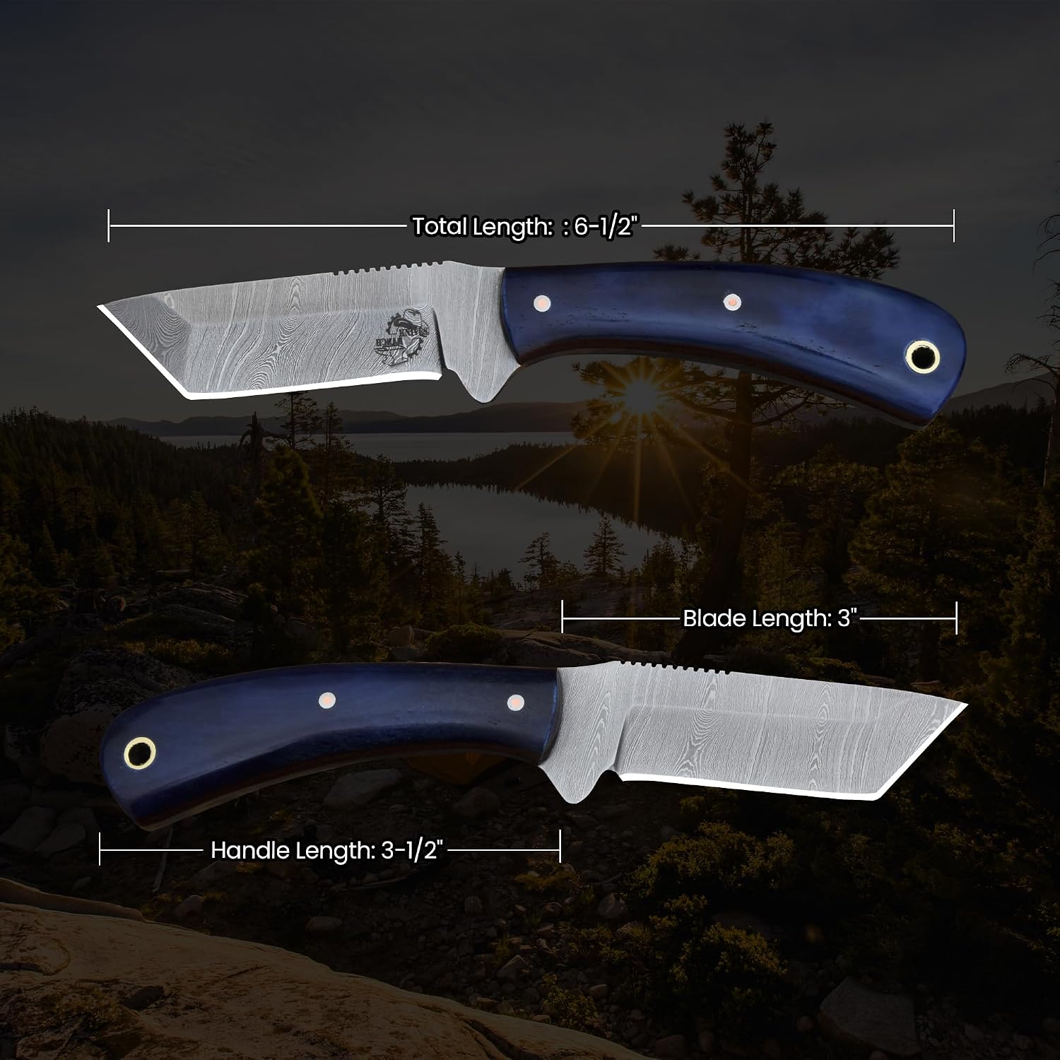 Knives Ranch Handmade Everyday Carry Knife - Full Tang Damascus Steel Blade - Horizontal Leather Sheath - Fixed Blade Utility Knife with Bone Handle