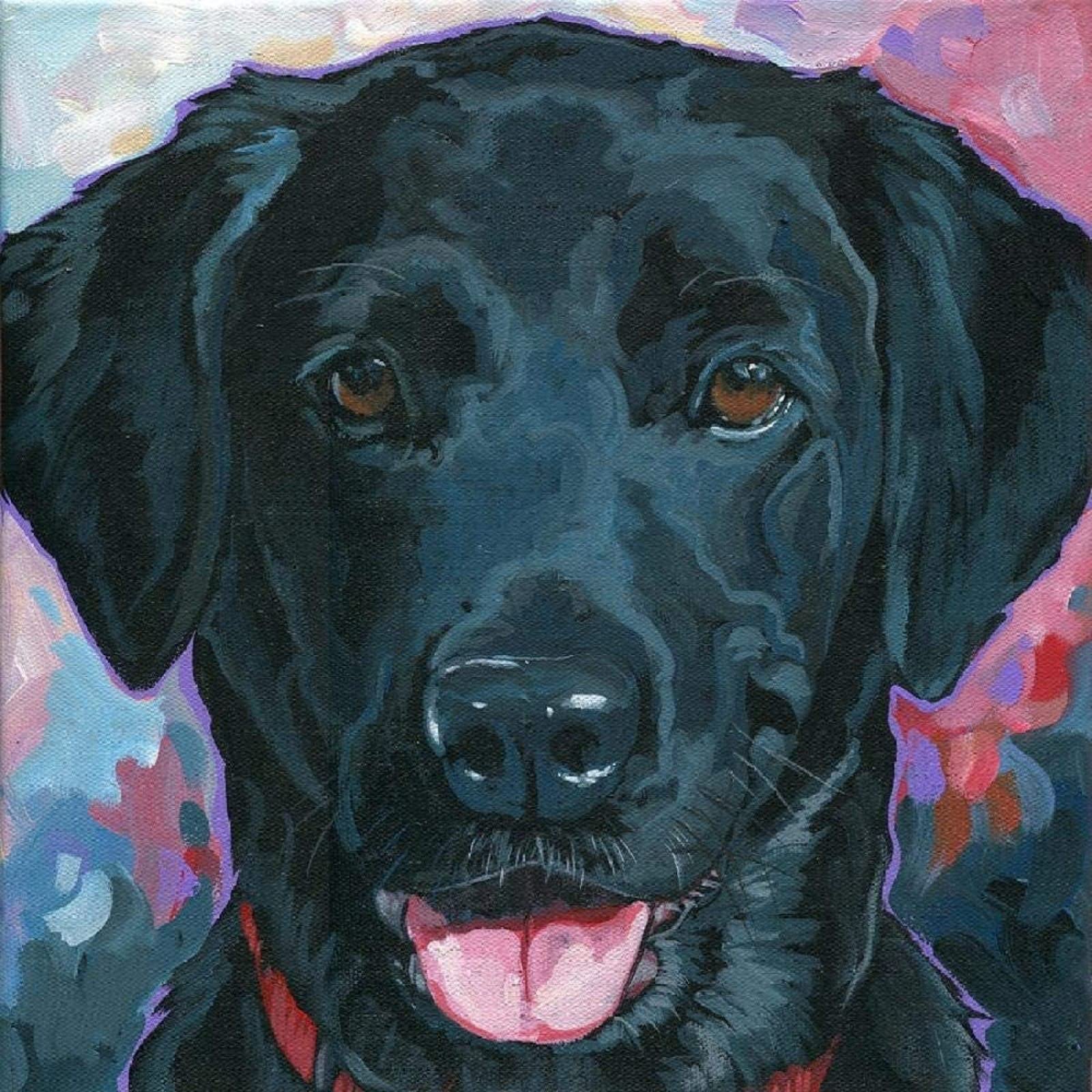 5D Diamond Painting kit, Labrador Fai da Te Trapano completo Pittura Diamante Immagini, Diamond Painting Cristallo Strass Tela Art Crafts per Casa e Pareti Decorazione Round Drill 50x50cm(20x20in