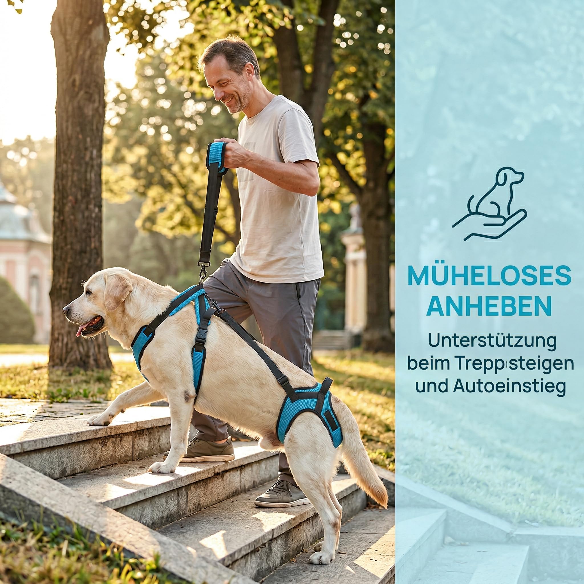Mobilitätsgeschir, Hundegeschirr 3-60 Kg für Mittelgroße Große Mittel Hunde, Anti-Zieh-Geschirr, Verstellbares Sicherheitsgeschirr für Hunde mit Mobilitätseinschränkungen (L)