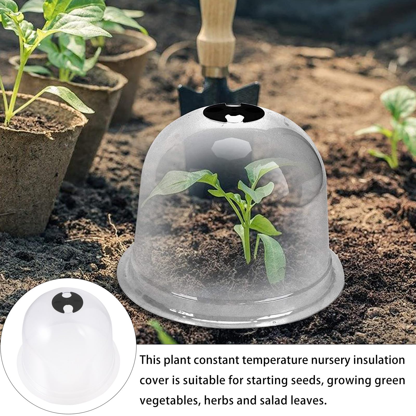 6 pièces Lot Cloches de Protection pour Semis avec Piquets de Fixation Sol et Étiquettes Housse Plastique Respirante pour Plantes Protection Gel et Froid Couleur Aléatoire