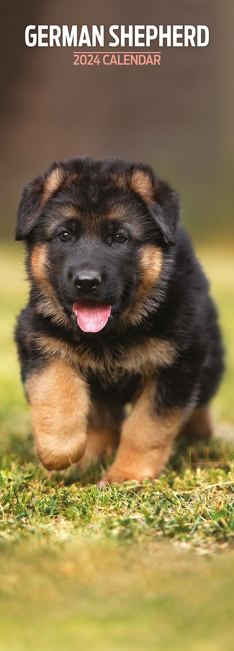 Snapklik.co : 2026 Geran Shepherd Calendar - Dog Breed Wall Calendar - 12 X 24 Open - Thick No