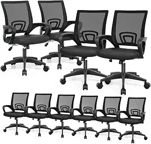 Magshion Ergonomic Office Chair 10 Pack, Mid-Back Mesh Desk Chair, Black
