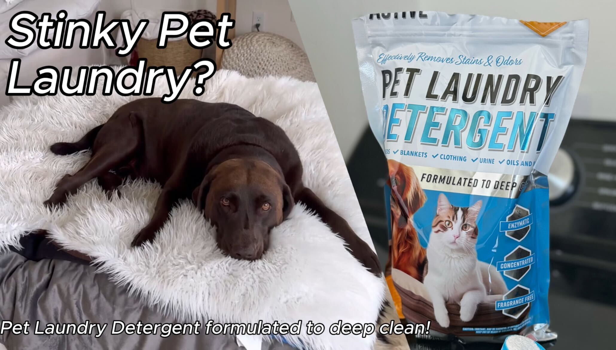 How Do I Get Cat Urine Smell Out of Clothes: Easy, Proven Tips