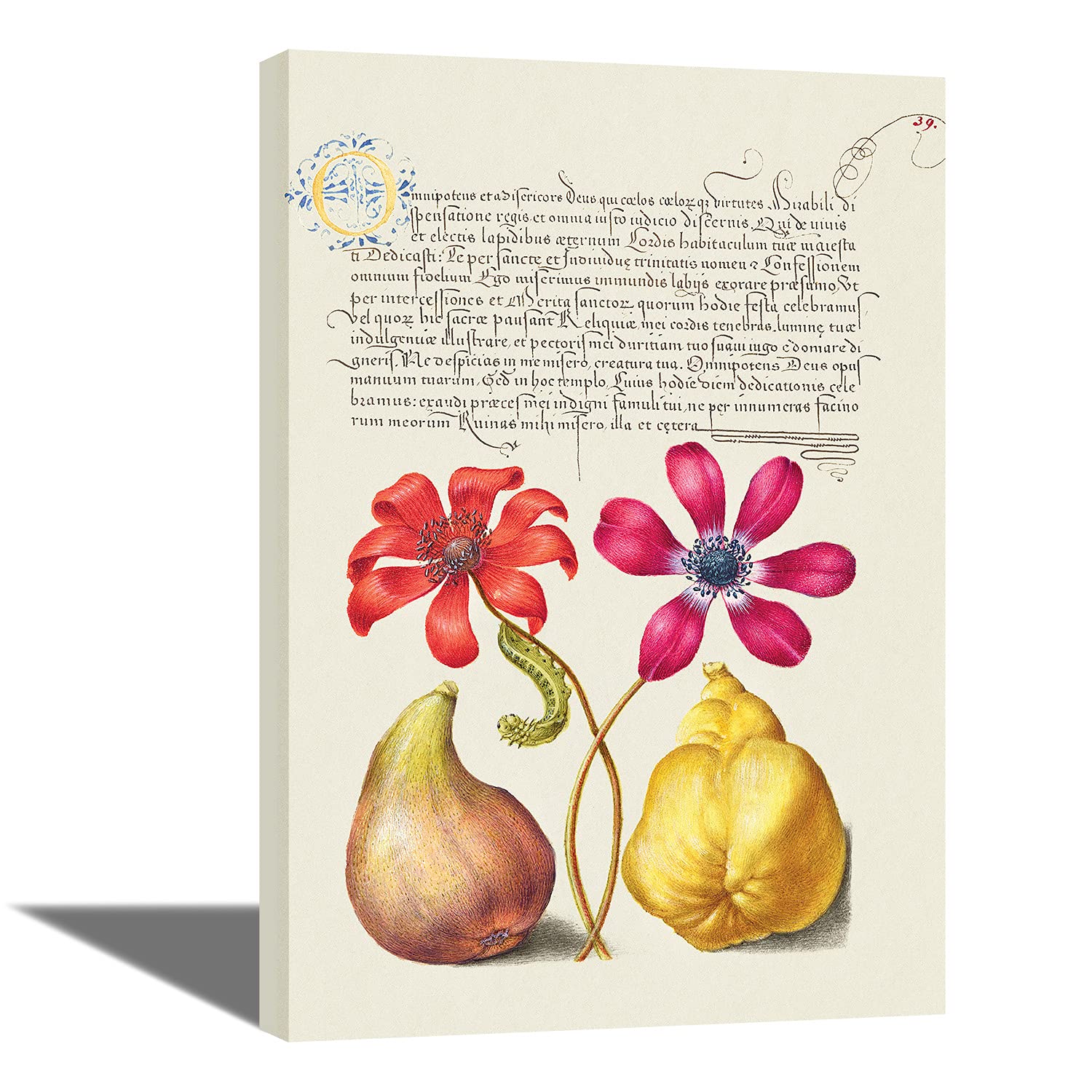 Tamatina Gallery Wrap Framed Painting | Home Decorative Gift Item | Frame Size - 36X24 Inches.RM