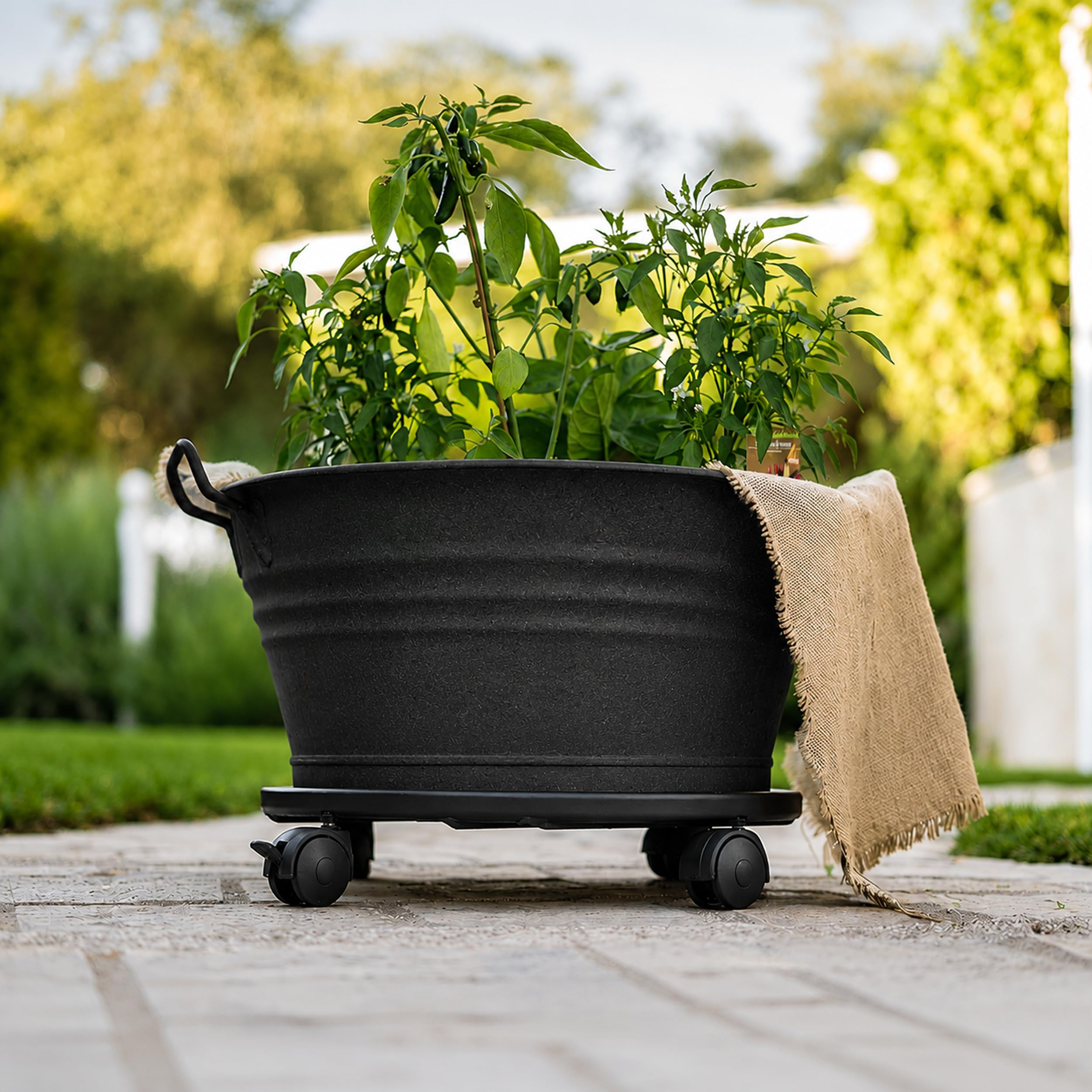 Tecnokit Carrello Portavasi Circolare O 30 cm Nero | Sottovaso con Ruote in Acciaio | Uso Interno ed Esterno | Made in Italy
