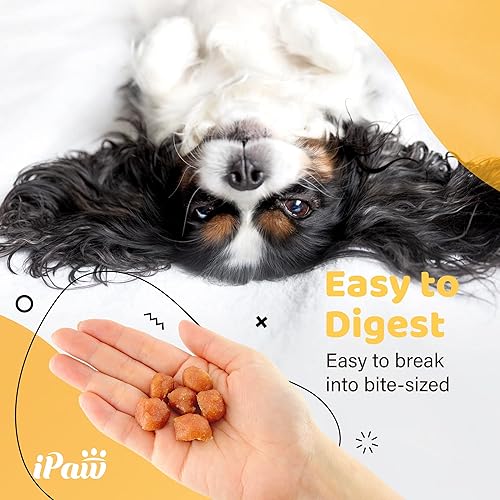 iPaw Chicken Tots Dog Treats for Puppy Training, All Natural Human Grade Dog Treat, Hypoallergenic, Easy to Digest (Chicken Tots)(3.5 Ounce (Pack of 1),Turkey Tots)