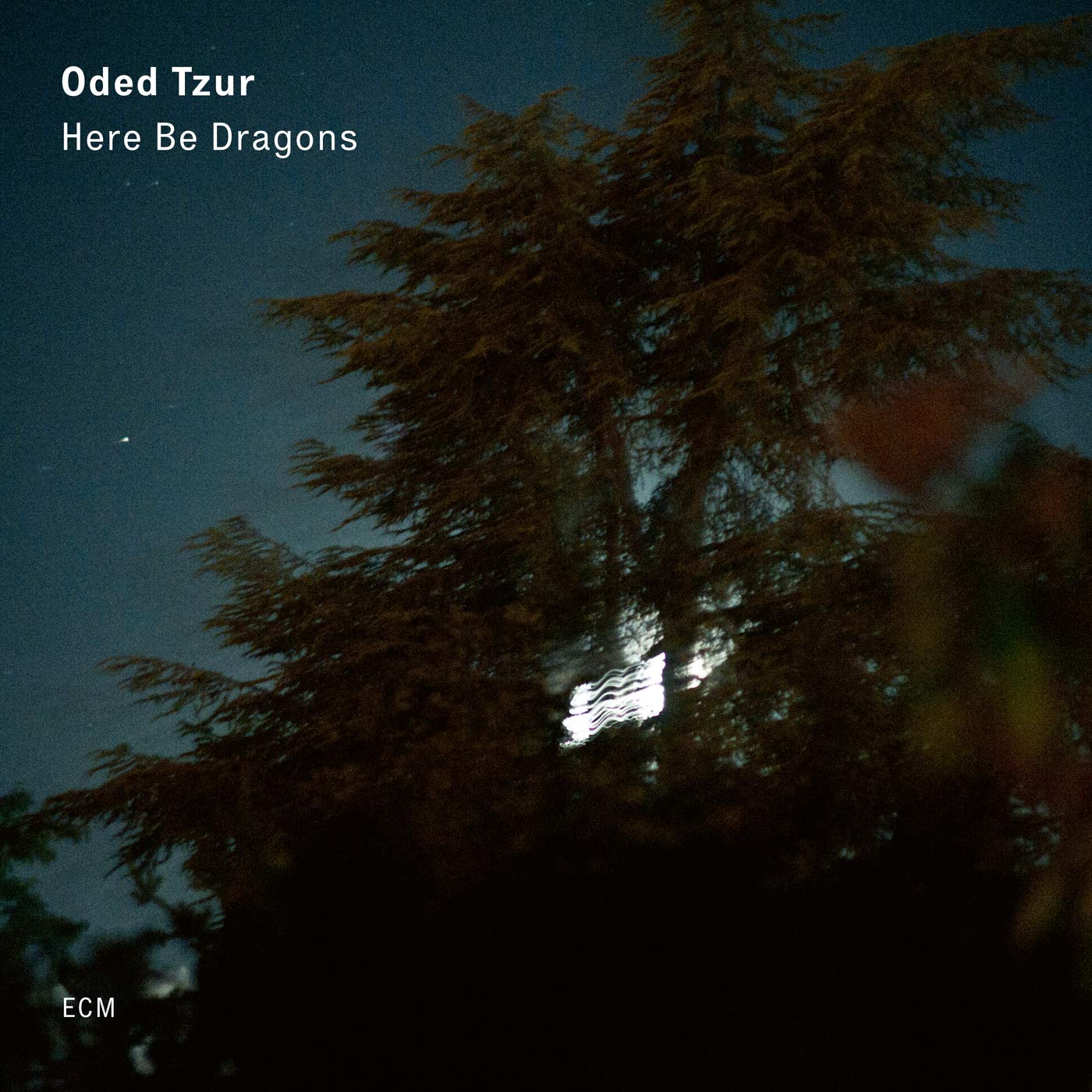Here Be Dragons (LP) [VINYL]