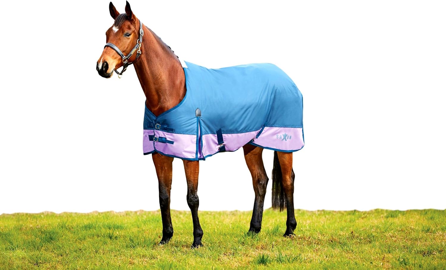 Saxon. 600D with Gussets Standard Neck Blanket Lite II