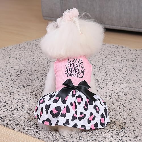 Miniatura 86 de CuteBone Vestido de malla para perro, vestido de Halloween para cachorros, traje de verano para mascotas, moda de verano para perros pequeños, ropa