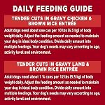 Purina ONE Tender Cuts Nourriture Humide pour Chien, en Sauce Paquet Variété 2 Saveurs - Boîte de 368 g (12 Paquets)