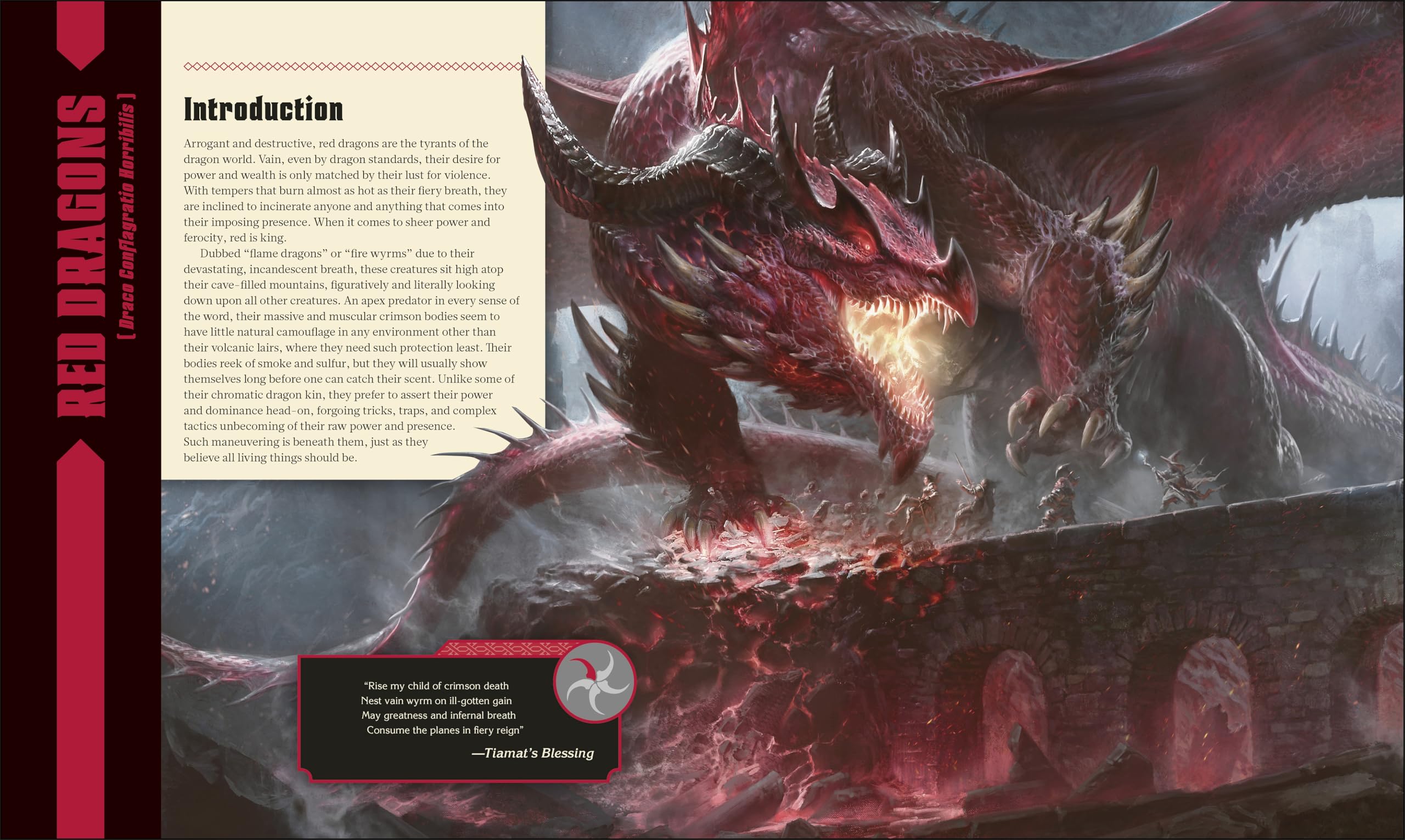 Dungeons & Dragons The Book of Dragons