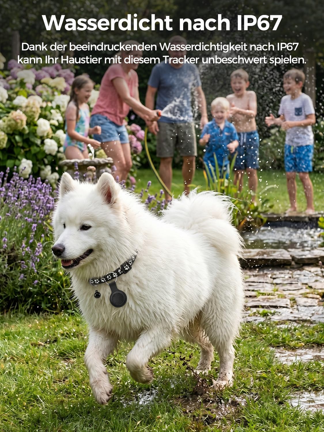 Collare GPS Gatto, GPS per Cani, Localizzatori GPS per Cani e Gatto Compatibile con iOS e Android, Tracciamento in Tempo Reale, Riproduzione Percorso 7 Giorni, Impermeabile IP67, Nessun Abbonamento