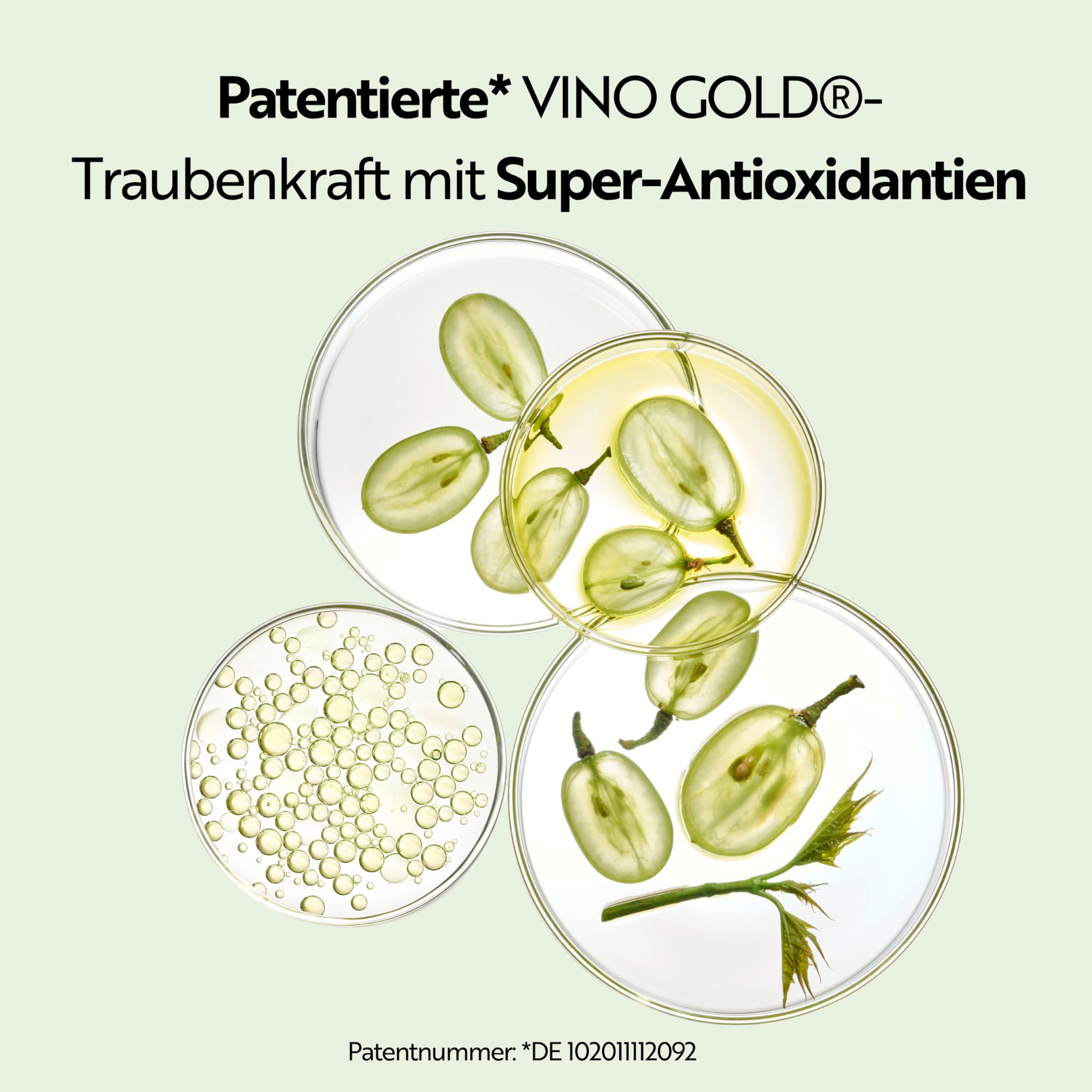 M. Asam Vino Gold 24h Gesichtscreme (100 ml) | 24h Tages- & Nachtcreme gegen Linien & Fältchen, Schutz vor vorzeitiger Hautalterung, Gesichtspflege