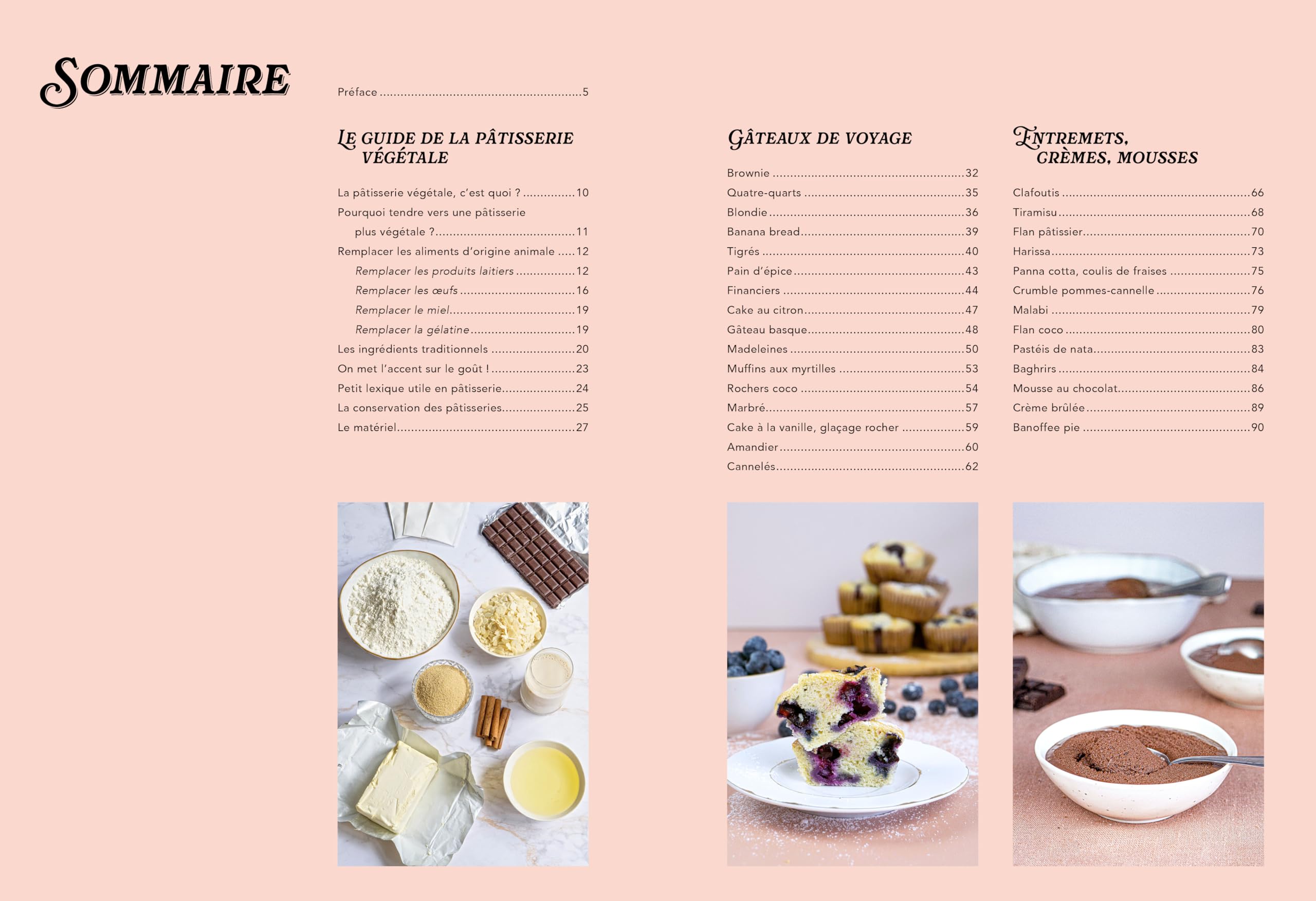 Le Grand Livre des Gâteaux de Famille: Recettes sans oeufs ni produits laitiers