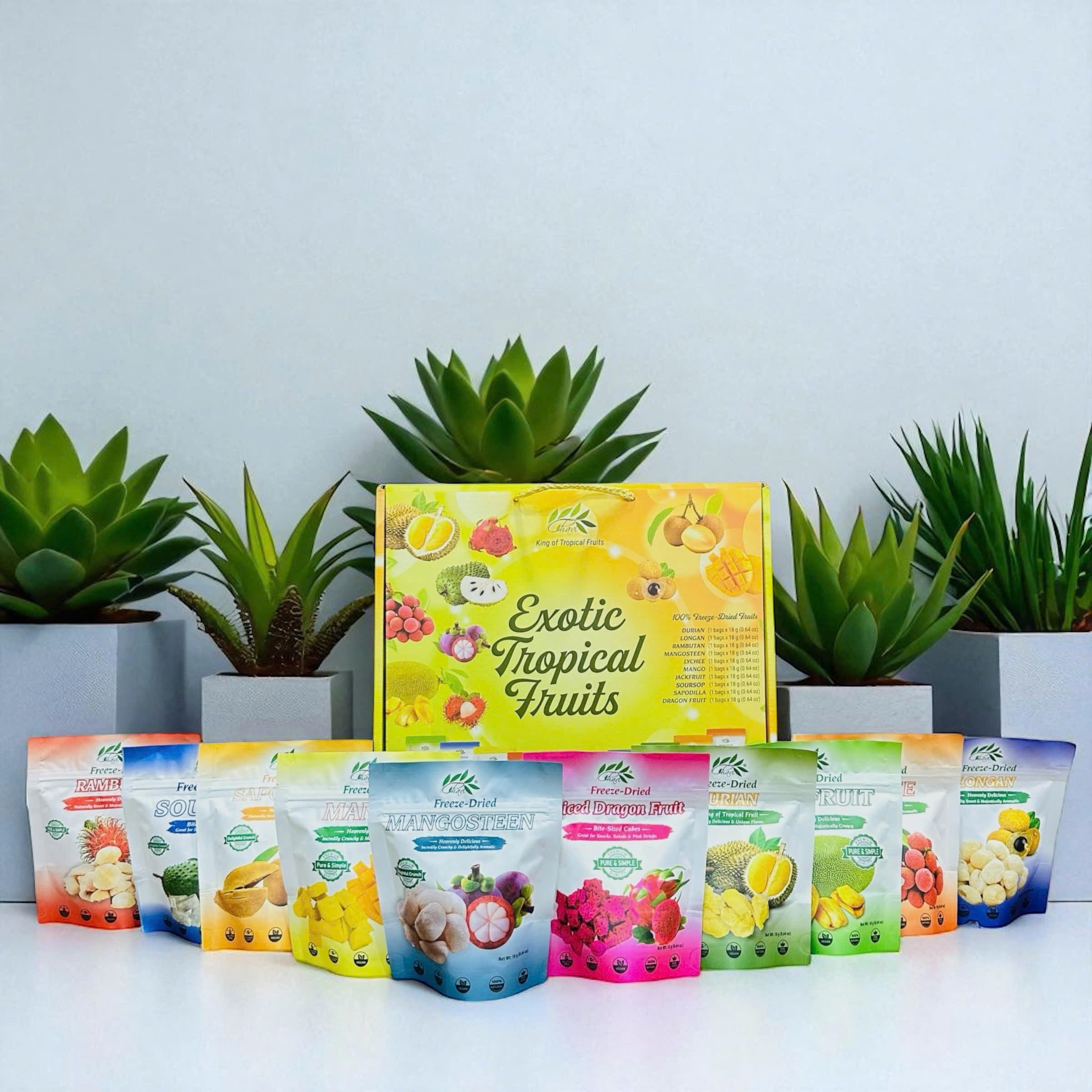 Amazon.com: CHAVI Freeze Dried Exotic Tropical Fruits | Pack of 10