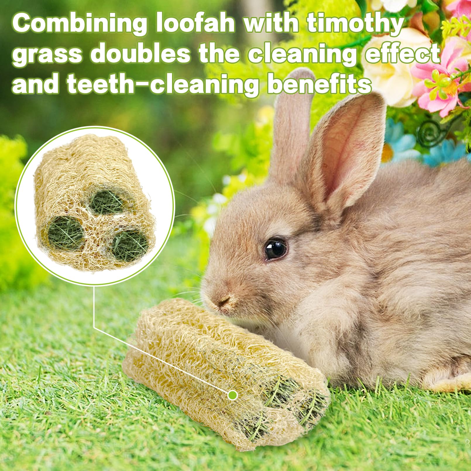 BNOSDM Giocattoli da masticare in luffa naturale per coniglio, giocattolo per la macinazione dei denti del coniglio, ricchi di fibre, accessori per l'intrattenimento per conigli e cincillà, 6 pezzi