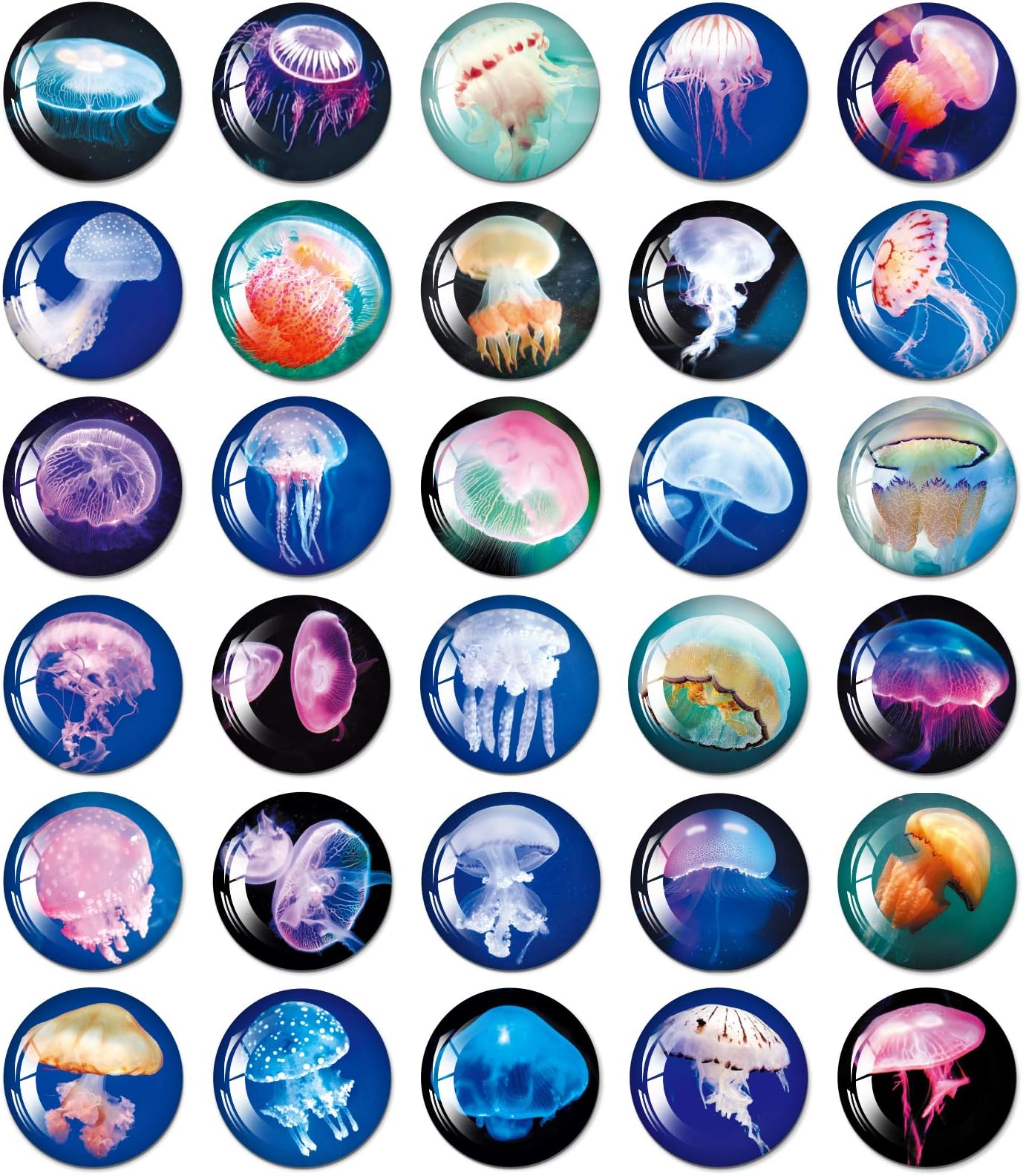 Fridge Magnets for Kids, 30 Pcs Jellyfish Magnets with Beautiful Texture, Animal Magnets for Refrigerator Whiteboards Locker Charkboard Office Kitchen, Gifts for Kids Adults(1.16 Inches)