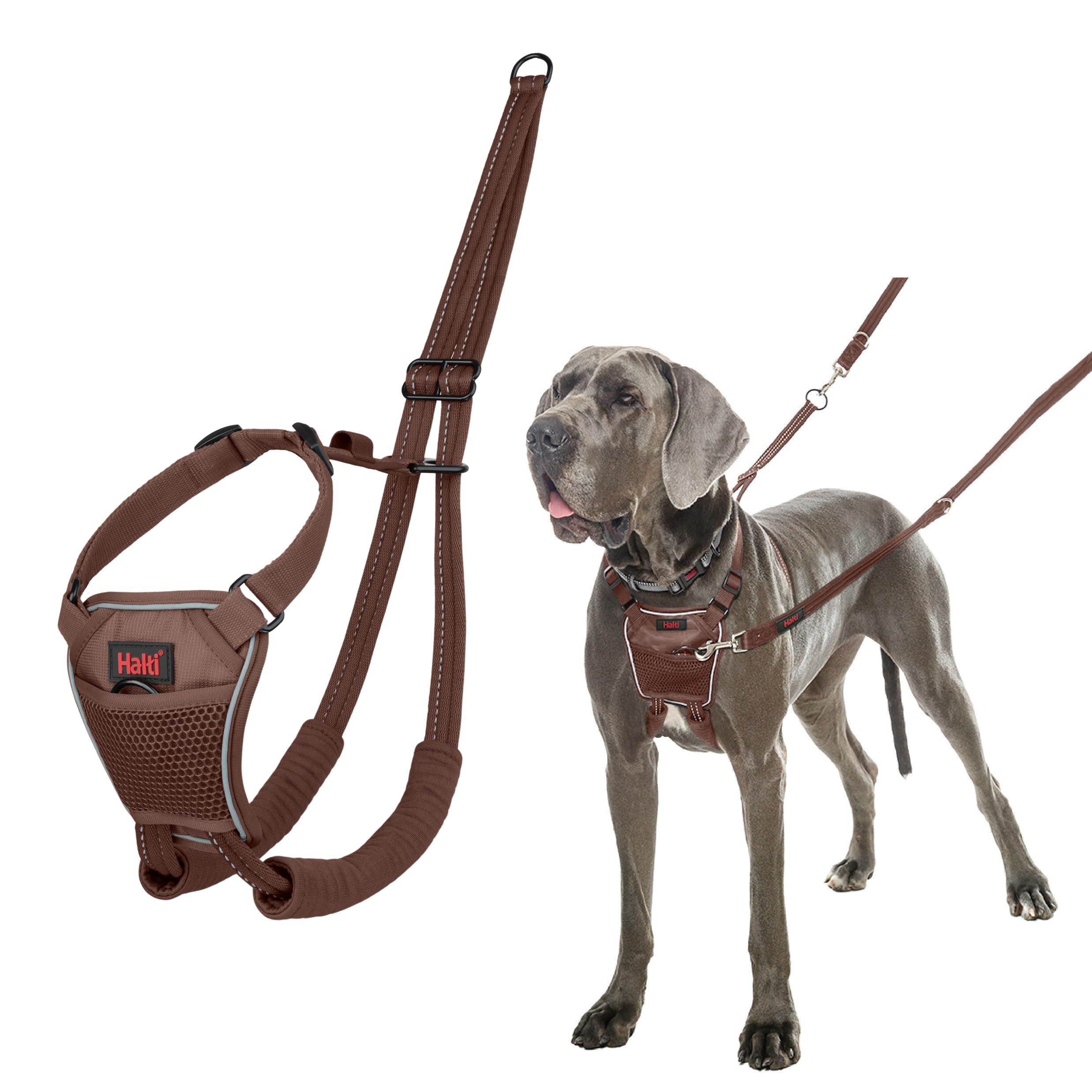 Halti No Pull Harness - Large - Deep Walnut - Dog Training Lead