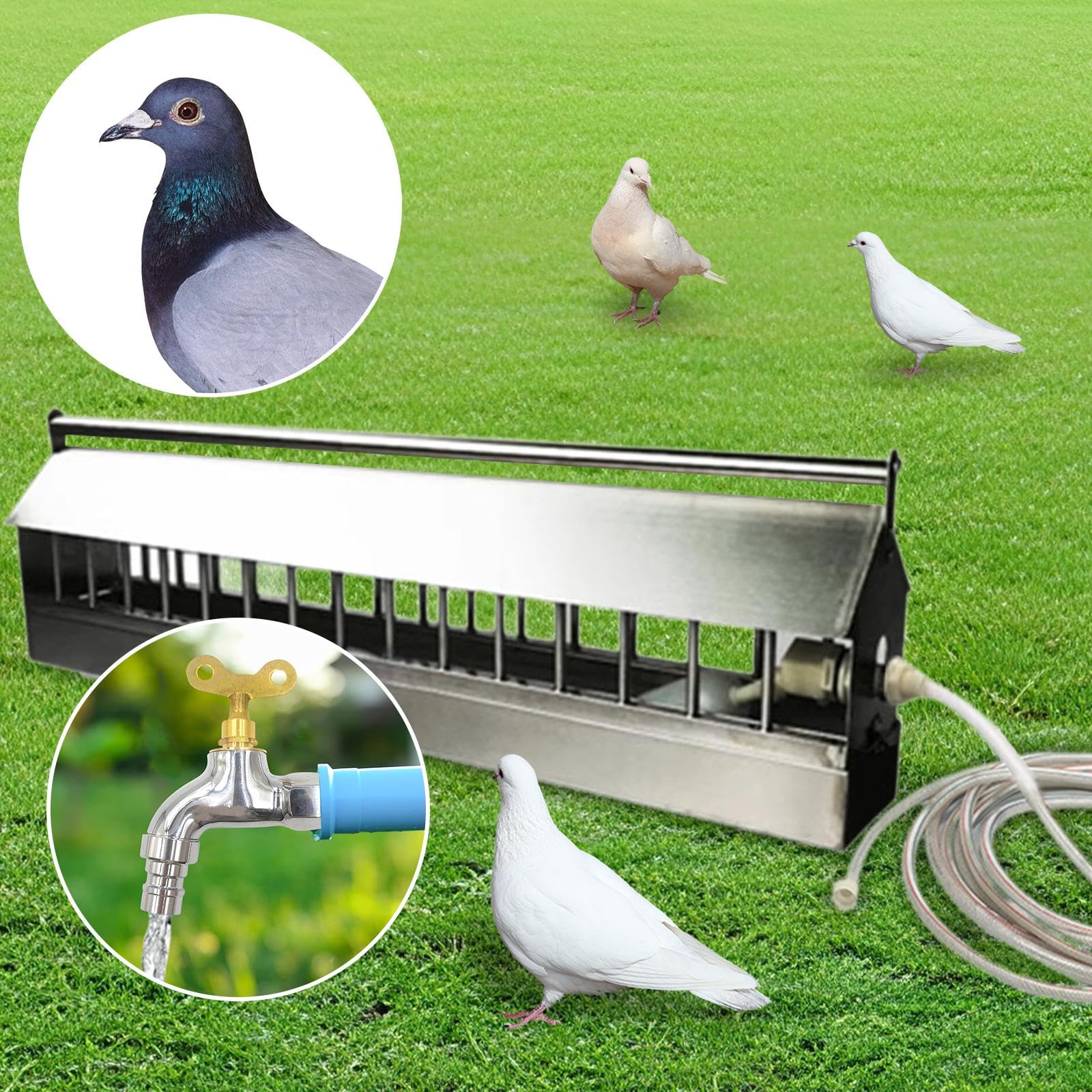 Automático para Aves de Corral con 2 Depósitos, Dispensador Automático de Agua para, Faisanes, Gansos Y Palomas, 100cm