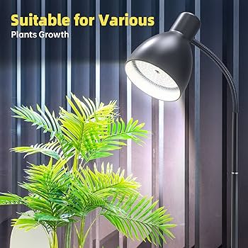 Amazon.com: Bstrip Grow Light Floor Lamp, 5000K Full