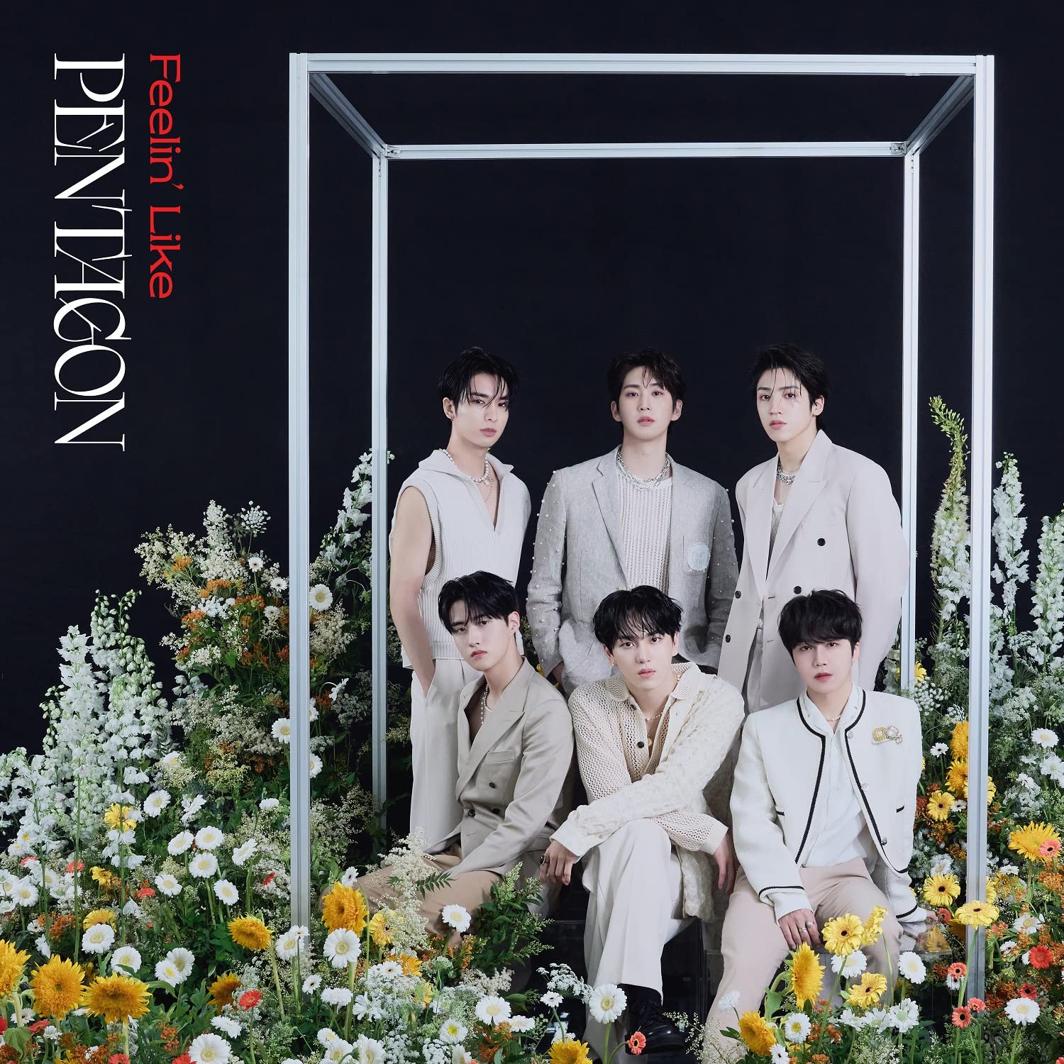 PENTAGON Feelin' Like Type A CD+Booklet+M Card Japan Official Collectible