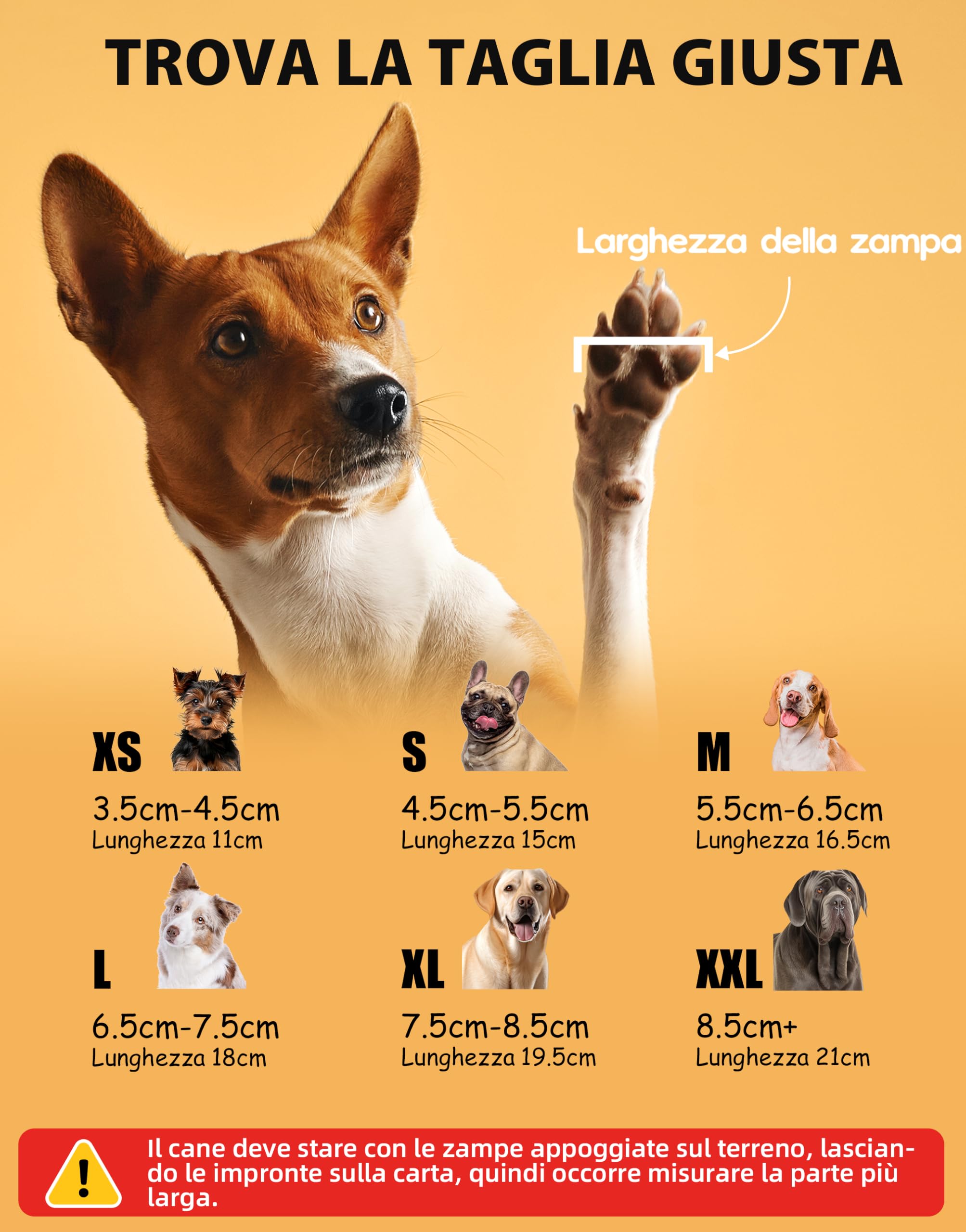 Fantasreen Calzini Antiscivolo per Cani con Osso, 6 Paia, Grigio Modern, M | Protegge le zampe su pavimenti in legno, neve e asfalto caldo. Grip a forma di osso. Morbido e traspirante.