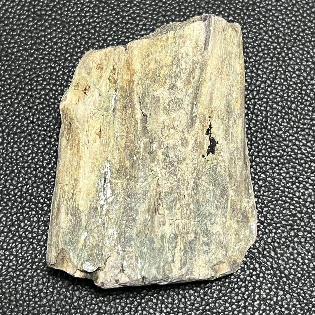 値下げ珪化木の置物　検木の化石　オブジェクトインテリアペトリファイドウッド 値下げ珪化木の置物 検木の化石 オブジェクトインテリアペトリファイド