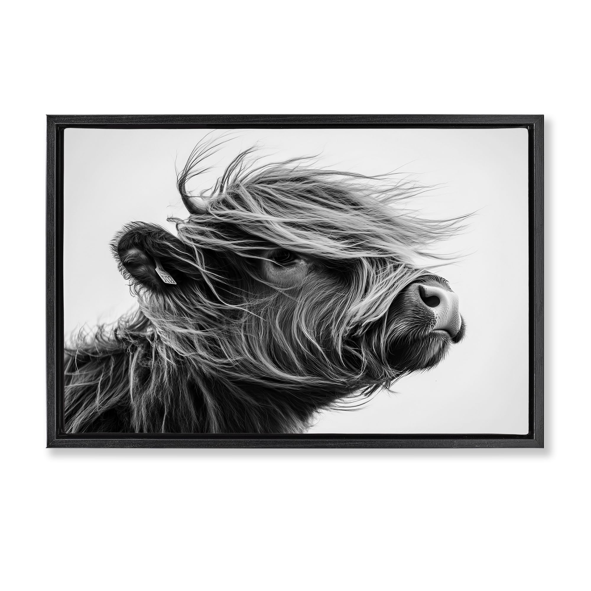 Stupell Industries 'Handsome Highland Portrait', Floating Frame Canvas Art, Black, 31 x 21 Inches, Easy to Hang and Sturdy, Made in USA, by Tina LeCour