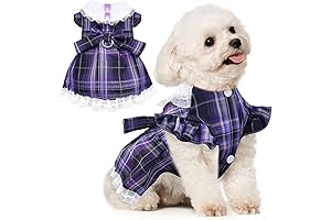 Essential Purple Dress for the Elegant Canine Companion