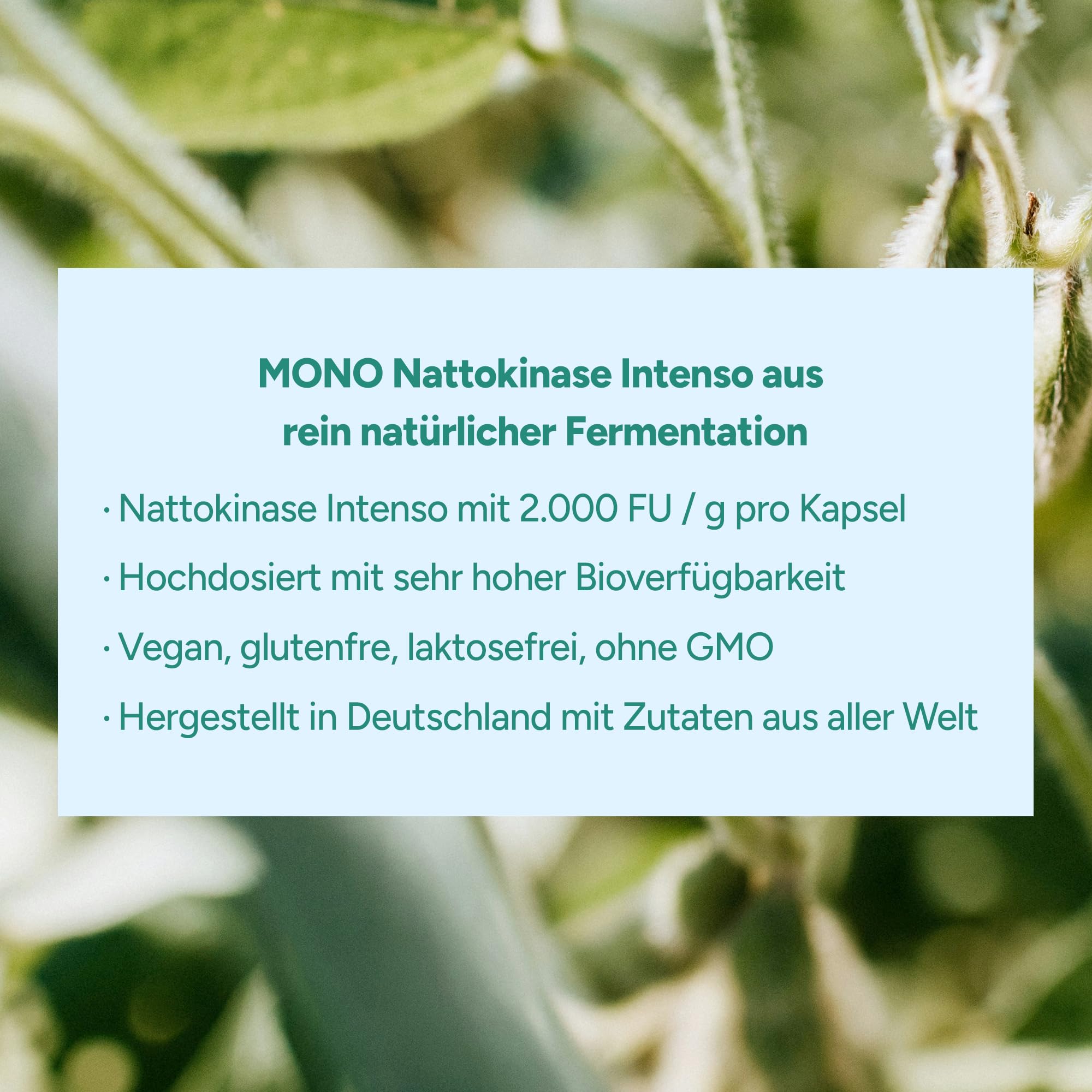 MONO Nattokinase hochdosiert - 240 Kapseln - 60.000 FU/g - natürliche Fermentation aus Sojabohnen - Endprodukt sojafrei – Nattokinase mit 2.800 FU/Kapsel - höchste Enzymaktivität - ohne Zusätze