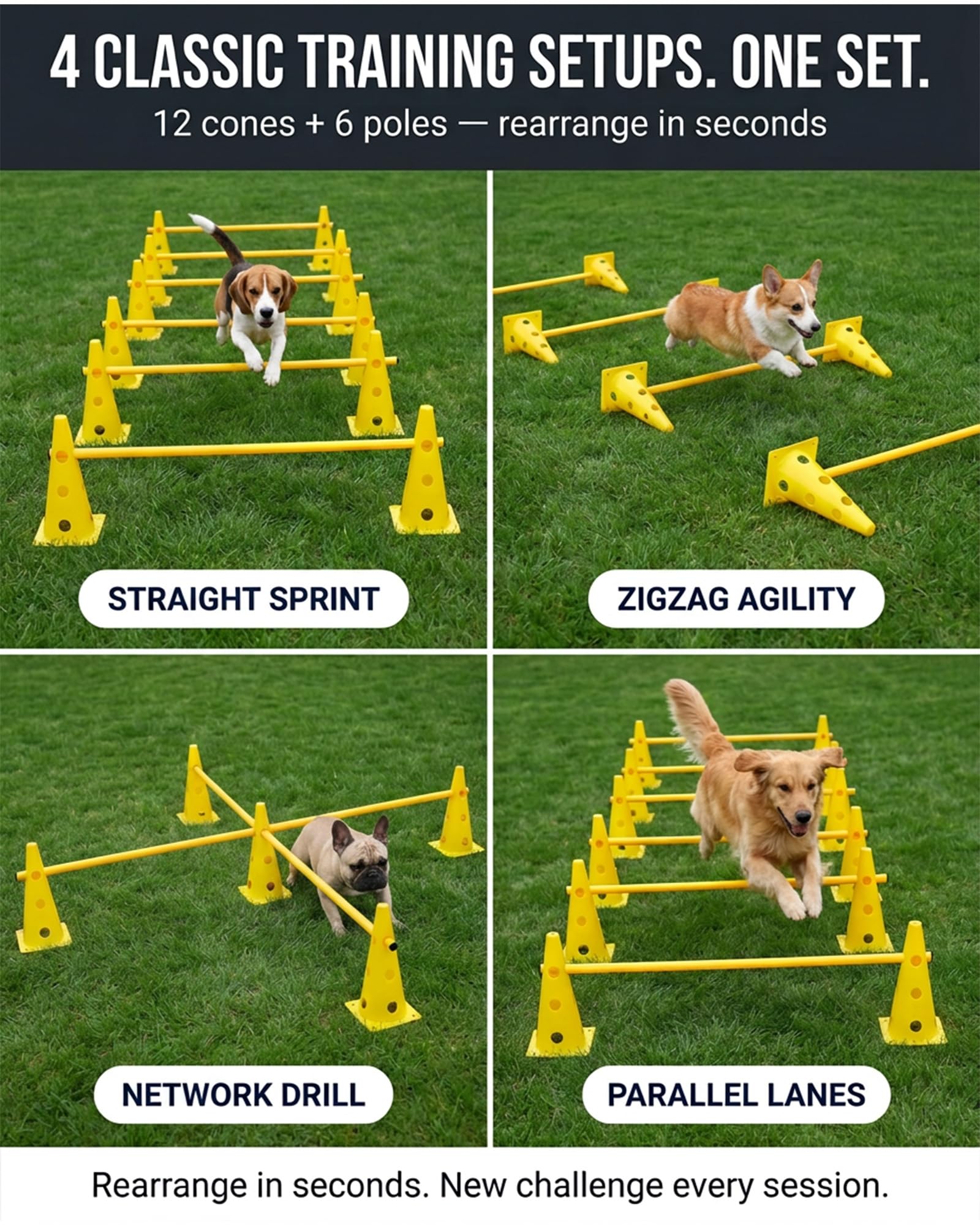 Agility-Ausrüstung für Hunde, 6-teilig