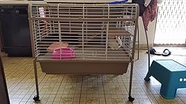 Review Image by Pablo Family Pablo Family