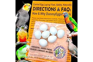 Realistic Dummy Eggs for Peace-loving Parrots and Quails